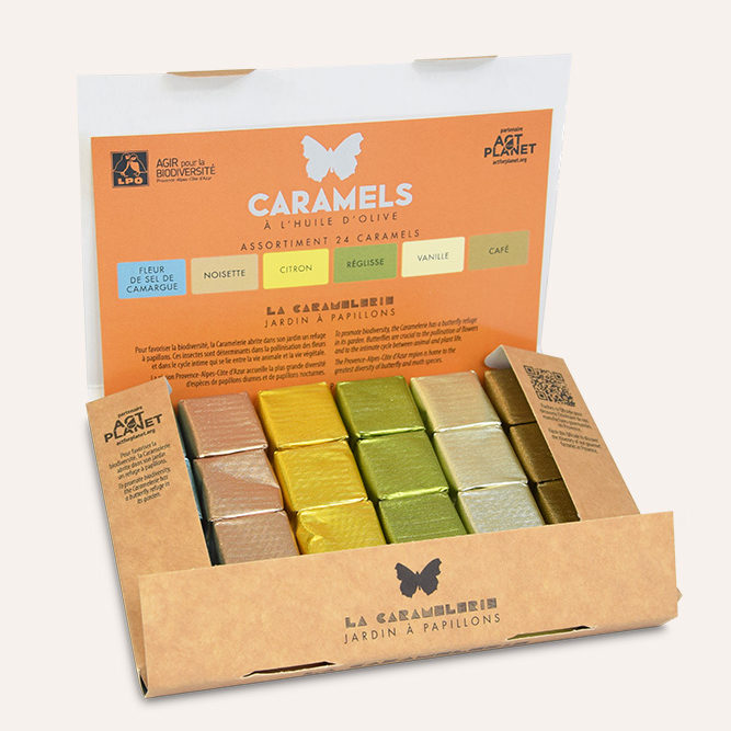 coffret 24 caramels intérieur